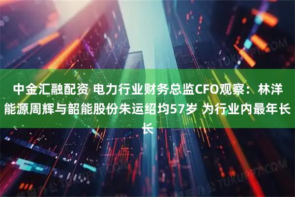 中金汇融配资 电力行业财务总监CFO观察：林洋能源周辉与韶能股份朱运绍均57岁 为行业内最年长