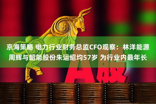京海策略 电力行业财务总监CFO观察：林洋能源周辉与韶能股份朱运绍均57岁 为行业内最年长