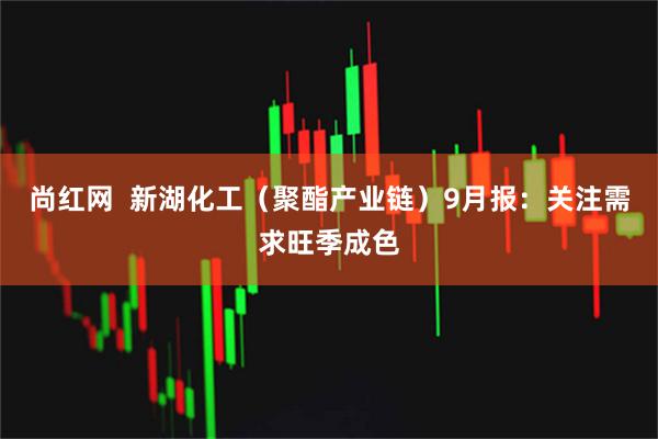 尚红网  新湖化工（聚酯产业链）9月报：关注需求旺季成色