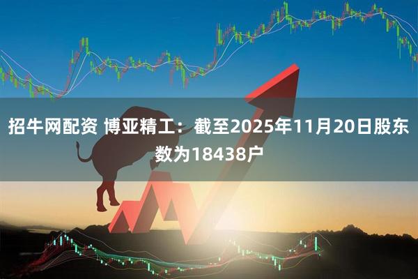 招牛网配资 博亚精工：截至2025年11月20日股东数为18438户